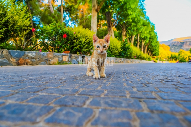 kreta2013-62