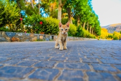 kreta2013-62